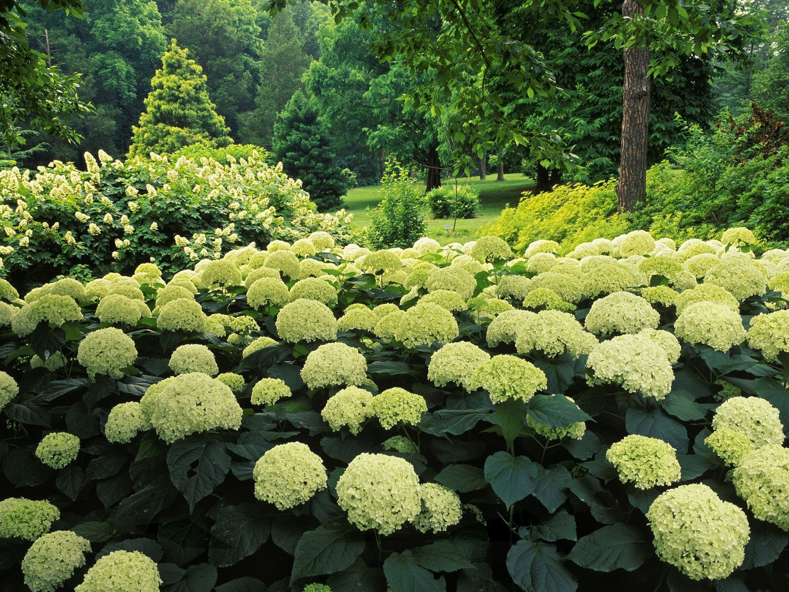 Nature (24).jpg